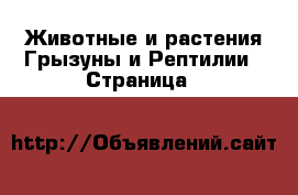 Животные и растения Грызуны и Рептилии - Страница 2 